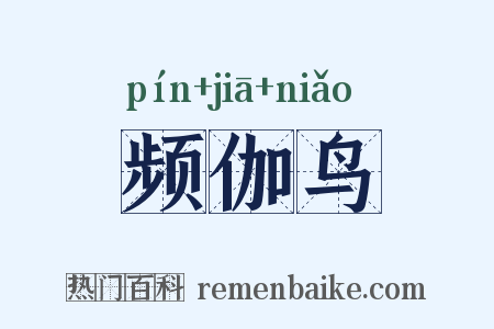频伽鸟是什么意思的图片